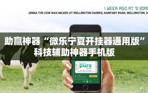 助赢神器“微乐宁夏开挂器通用版”科技辅助神器手机版
