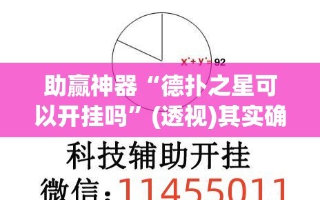 助赢神器“德扑之星可以开挂吗”(透视)其实确实有挂