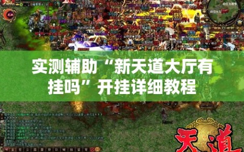 实测辅助“新天道大厅有挂吗”开挂详细教程