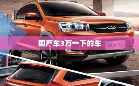 国产车3万一下的车