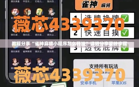 教程分享“雀神麻将小程序怎么开挂”详细分享装挂步骤