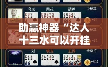 助赢神器“达人十三水可以开挂吗”细辅助教程分享