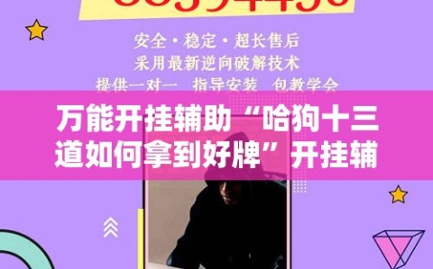 万能开挂辅助“哈狗十三道如何拿到好牌”开挂辅助脚本+详细开挂安装教程