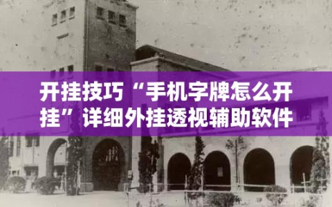 开挂技巧“手机字牌怎么开挂”详细外挂透视辅助软件教程
