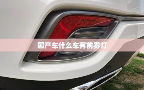 国产车什么车有前雾灯