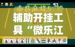 辅助开挂工具“微乐江苏麻将有挂能查出来吗”2026开挂教程步骤