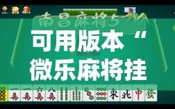 可用版本“微乐麻将挂试用一天”详细分享装挂步骤