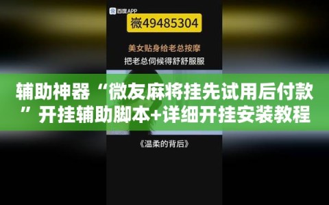 辅助神器“微友麻将挂先试用后付款”开挂辅助脚本+详细开挂安装教程