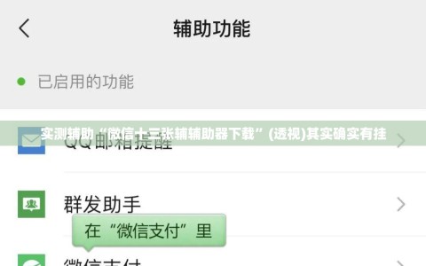 实测辅助“微信十三张辅辅助器下载”(透视)其实确实有挂