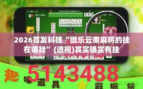 2026首发科技“微乐云南麻将的挂在哪找”(透视)其实确实有挂