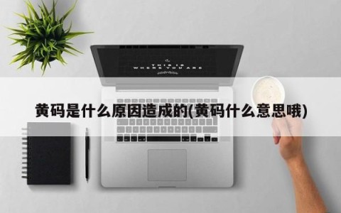 黄码是什么原因造成的(黄码什么意思哦)