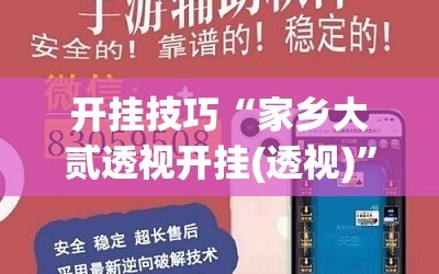 开挂技巧“家乡大贰透视开挂(透视)”开挂辅助脚本+详细开挂安装教程