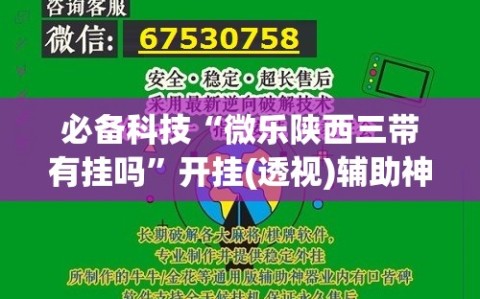 必备科技“微乐陕西三带有挂吗”开挂(透视)辅助神器