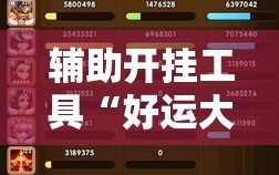 辅助开挂工具“好运大菠萝怎么开挂”详细分享装挂步骤