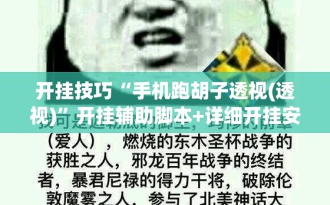 开挂技巧“手机跑胡子透视(透视)”开挂辅助脚本+详细开挂安装教程