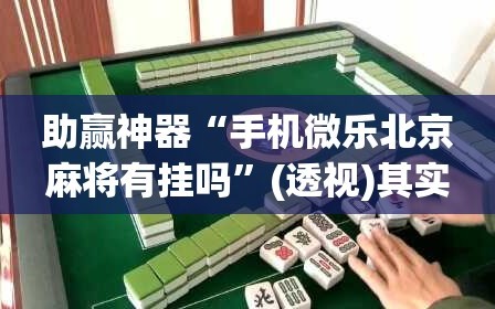 助赢神器“手机微乐北京麻将有挂吗”(透视)其实确实有挂