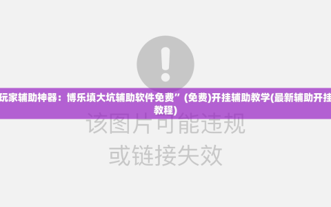 玩家辅助神器：博乐填大坑辅助软件免费”(免费)开挂辅助教学(最新辅助开挂教程)