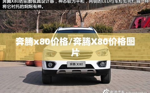 奔腾x80价格/奔腾X80价格图片