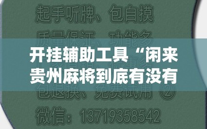 开挂辅助工具“闲来贵州麻将到底有没有挂”开挂(透视)最新辅助详细