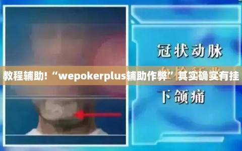 教程辅助!“wepokerplus辅助作弊”其实确实有挂