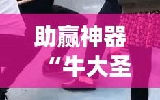 助赢神器“牛大圣有没有挂”开挂(透视)辅助教程
