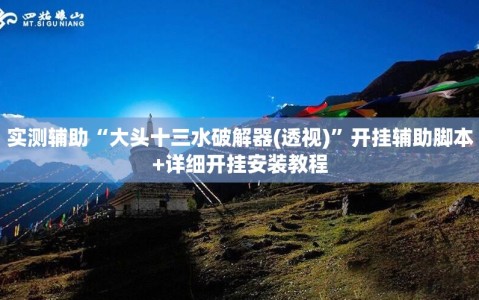 实测辅助“大头十三水破解器(透视)”开挂辅助脚本+详细开挂安装教程