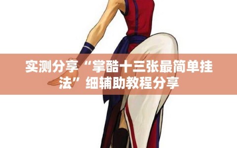 实测分享“掌酷十三张最简单挂法”细辅助教程分享