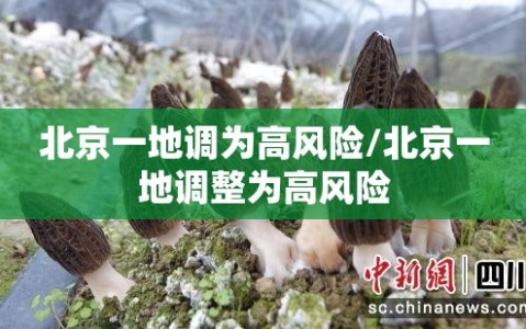 北京一地调为高风险/北京一地调整为高风险