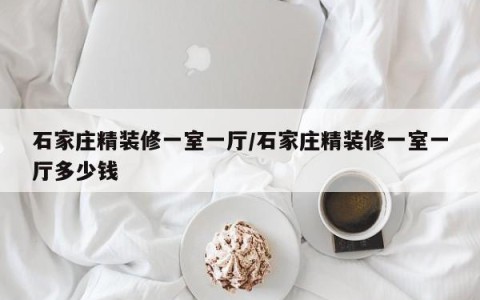 石家庄精装修一室一厅/石家庄精装修一室一厅多少钱