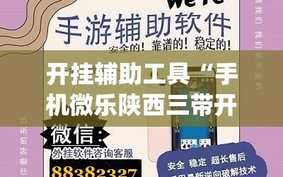 开挂辅助工具“手机微乐陕西三带开挂辅助器通用版”(透视挂)辅助下载教程