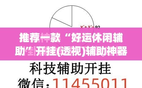 推荐一款“好运休闲辅助”开挂(透视)辅助神器