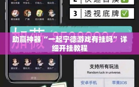 助赢神器“一起宁德游戏有挂吗”详细开挂教程