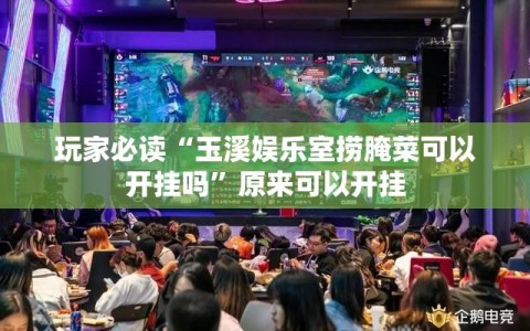 玩家必读“玉溪娱乐室捞腌菜可以开挂吗”原来可以开挂