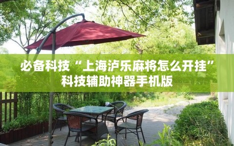 必备科技“上海泸乐麻将怎么开挂”科技辅助神器手机版