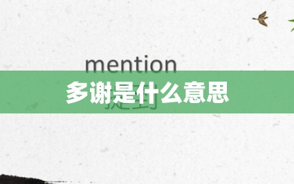 多谢是什么意思