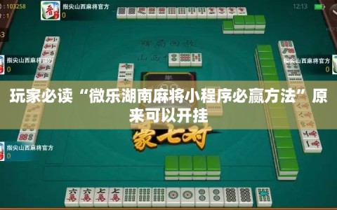 玩家必读“微乐湖南麻将小程序必赢方法”原来可以开挂