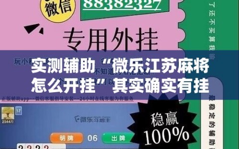 实测辅助“微乐江苏麻将怎么开挂”其实确实有挂