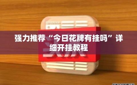 强力推荐“今日花牌有挂吗”详细开挂教程