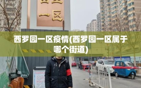 西罗园一区疫情(西罗园一区属于哪个街道)
