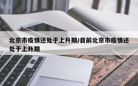 北京市疫情还处于上升期/目前北京市疫情还处于上升期