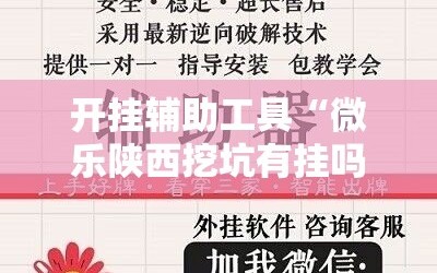 开挂辅助工具“微乐陕西挖坑有挂吗”细辅助教程分享