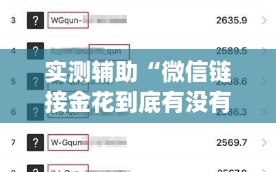 实测辅助“微信链接金花到底有没有挂”开挂(透视)辅助神器