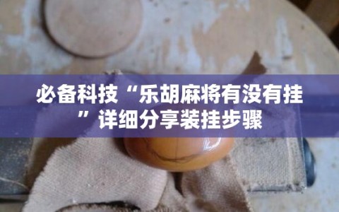 必备科技“乐胡麻将有没有挂”详细分享装挂步骤