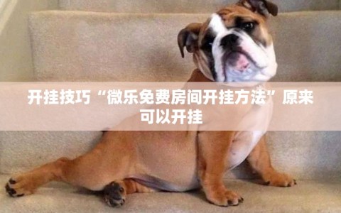 开挂技巧“微乐免费房间开挂方法”原来可以开挂