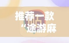 推荐一款“途游麻将开挂神器”细辅助教程分享