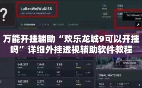万能开挂辅助“欢乐龙城9可以开挂吗”详细外挂透视辅助软件教程