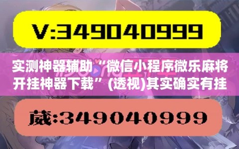 实测神器辅助“微信小程序微乐麻将开挂神器下载”(透视)其实确实有挂