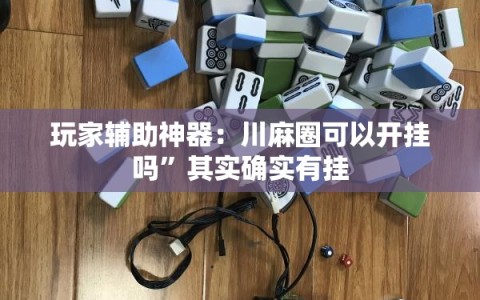 玩家辅助神器：川麻圈可以开挂吗”其实确实有挂
