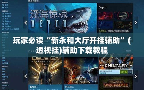玩家必读“新永和大厅开挂辅助”(透视挂)辅助下载教程