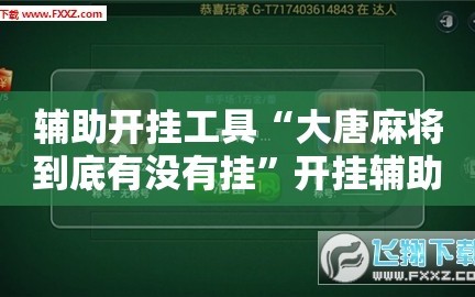 辅助开挂工具“大唐麻将到底有没有挂”开挂辅助脚本+详细开挂安装教程
